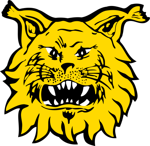 Ilveksen_logo.svg