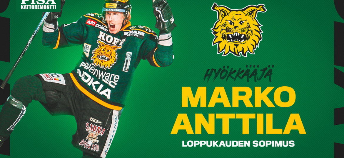 Marko Anttila Ilves